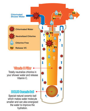 UBS Vitamin-C Filter Description