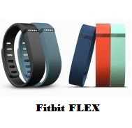 Fitbit FLEX Activity Tracker