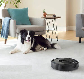 Roomba i7 in Action 